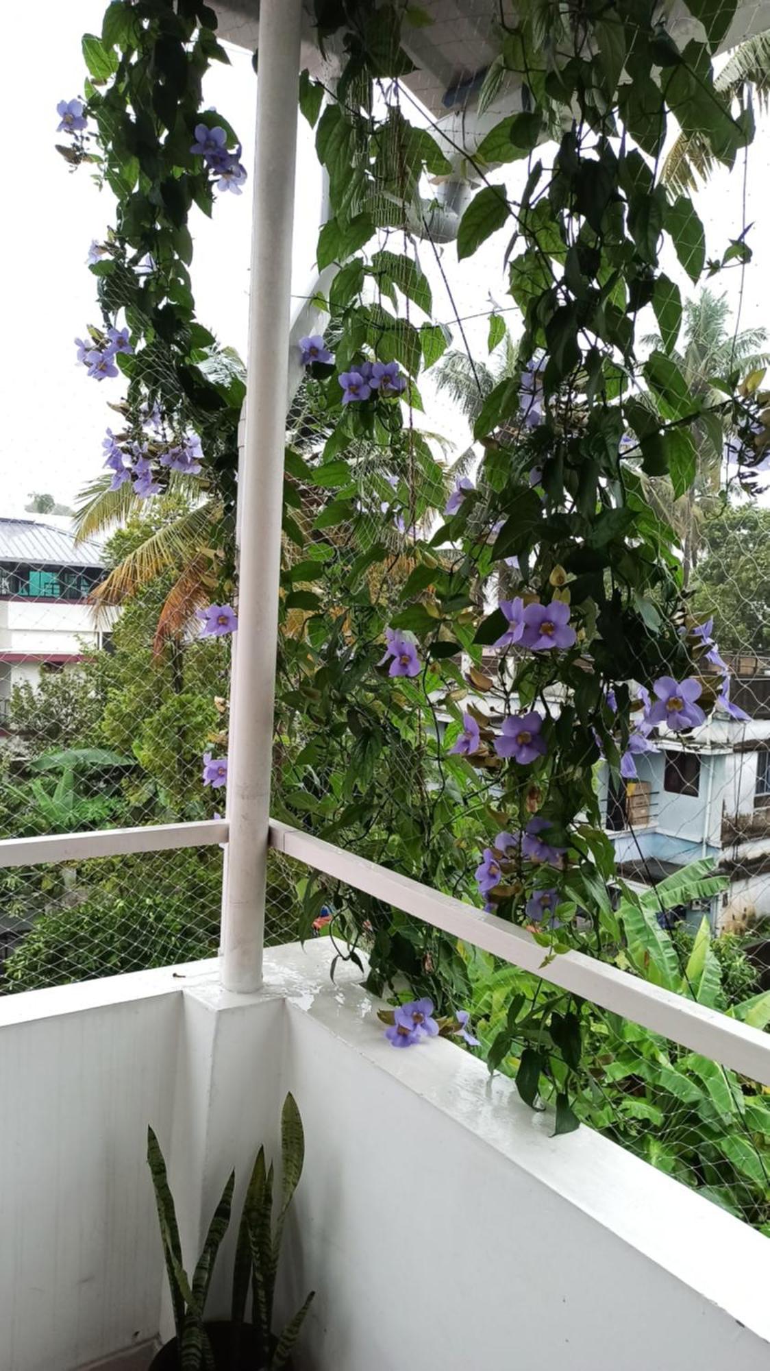 Bethesda Inn Kochi 外观 照片